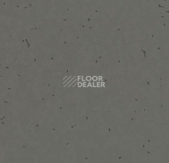 Линолеум Forbo Sphera Energetic 50215 ebony фото 1 | FLOORDEALER